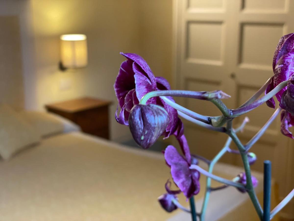 Altesino Suites 蒙塔尔奇诺 外观 照片