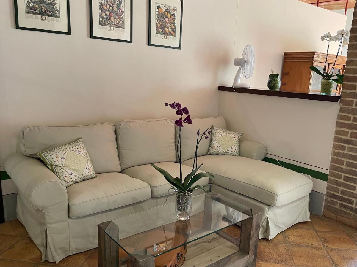 Altesino Suites 蒙塔尔奇诺 外观 照片